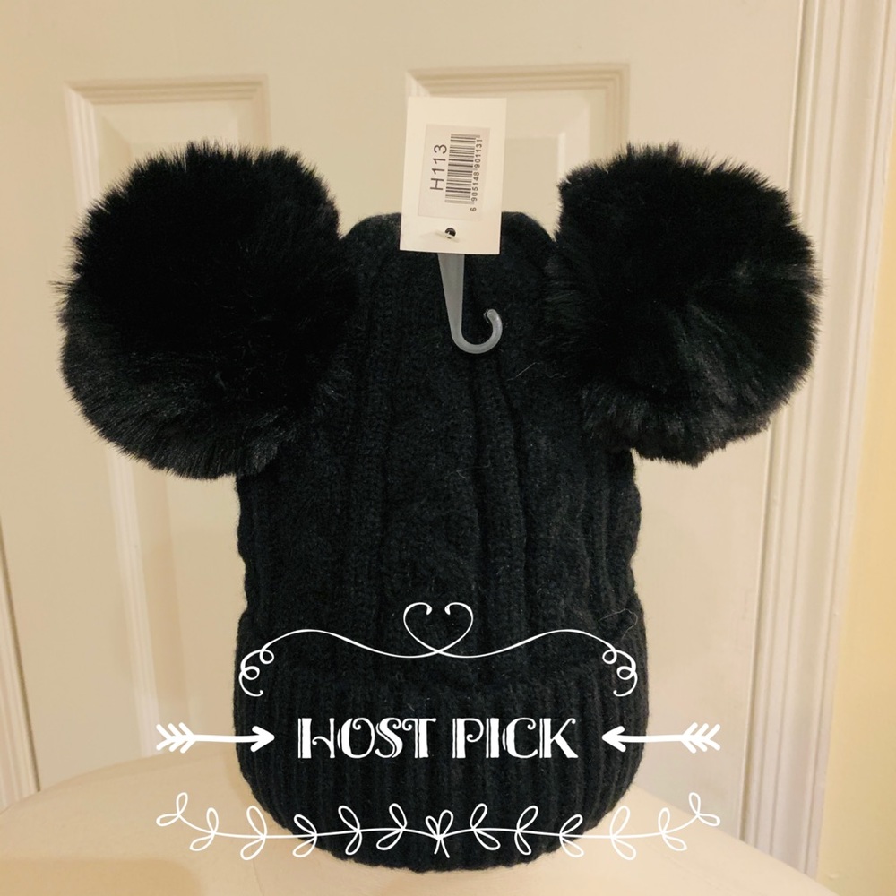 Sale Host Pick NWT Super Soft Black Pom Pom Beanie - Picture 2 of 5